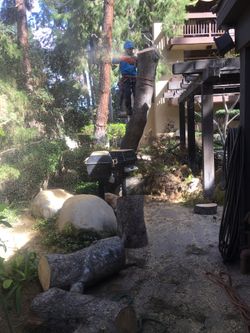 Takedowns!! Chainsaw!! Spikes! Hardware! Tools!