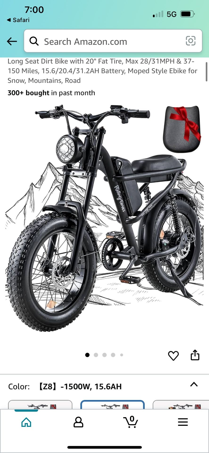 Electric Bike