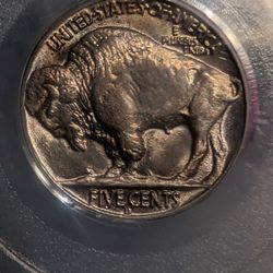 1938 D Buffalo Nickel PCGS MS65
