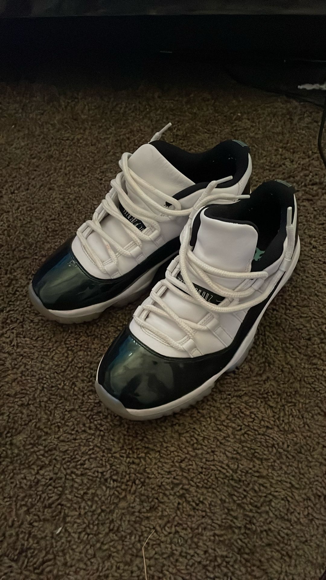 Jordan Retro 11 Low