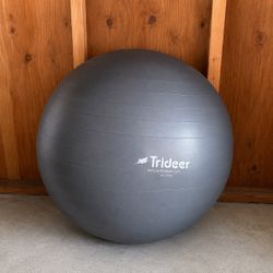 Pelota de Ejercicio Trideer