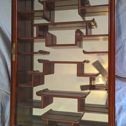 Antique Chinese Rosewood Curio Wall Display Case