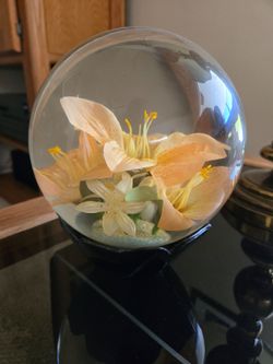 Water globe