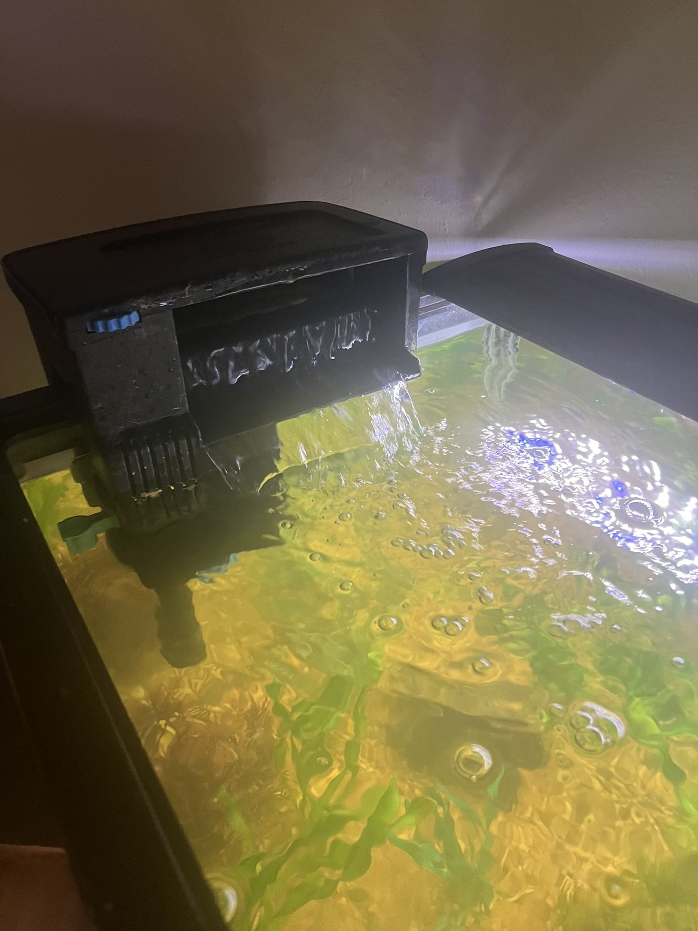 75 Gal Aquarium And Accessories