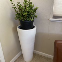 Tall White Planter Pot 