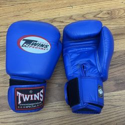 Twins Special Muay Thai Boxing Gloves