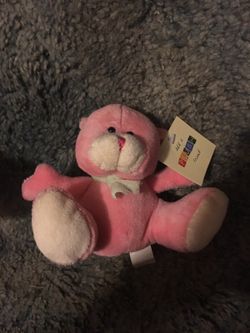 Pink teddy stuffed animal