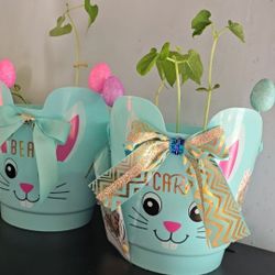 🐰Fun Blue Easter Basket BEAN Plant