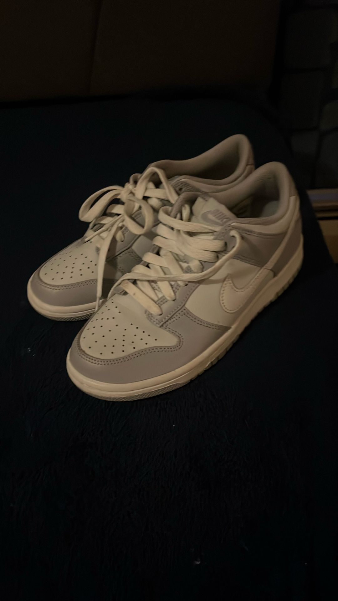 nike cool grey dunks