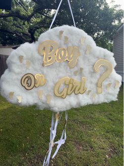 Gender 🧬 reveal piñata