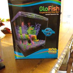 GloFish Acuarium