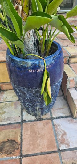 Garden Patio statues , vases