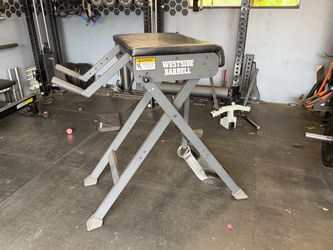 Westside Barbell reverse hyper