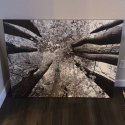 4’X3’ Black And White Picture