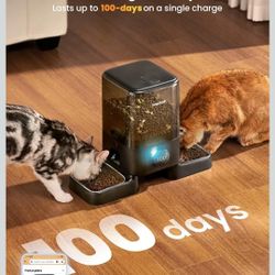 Cat Feeder for 2 Cats
