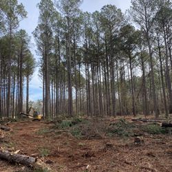 Firewood And More Will Load Or Delivery 