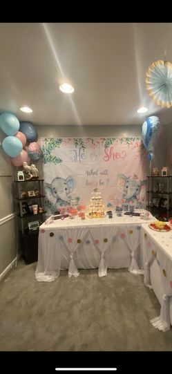 Gender Reveal Backdrop