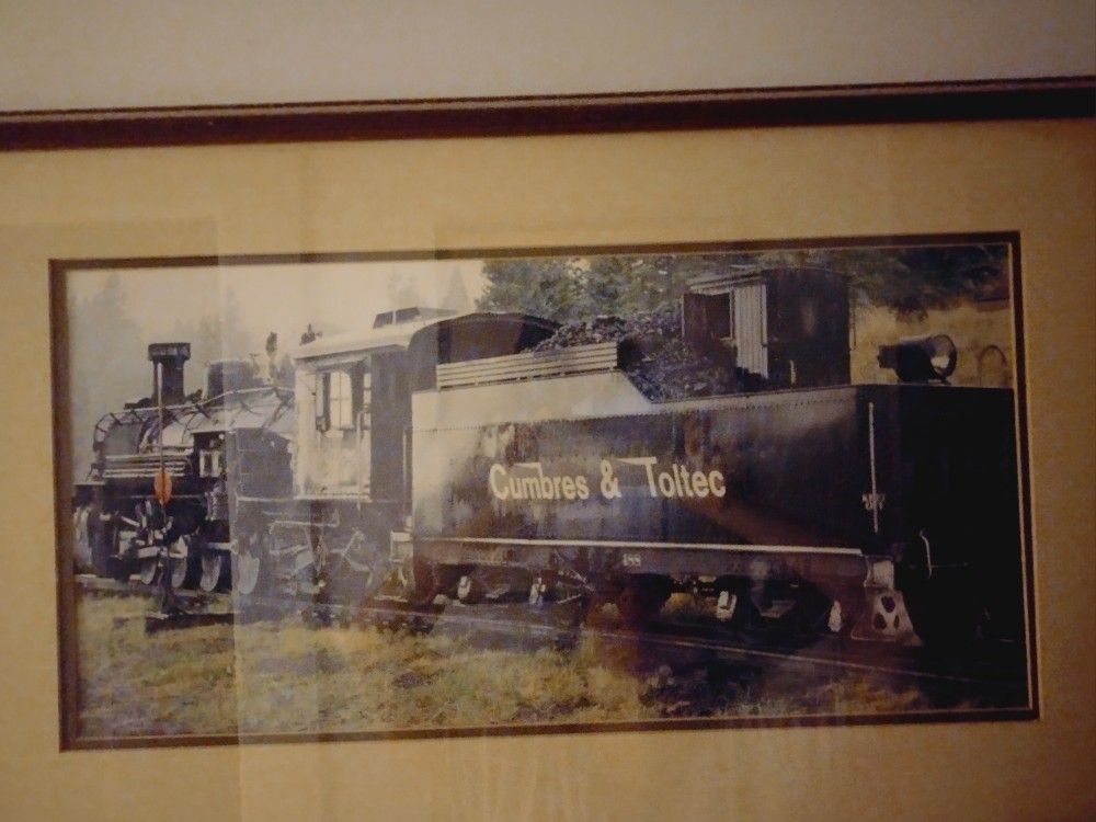 Framed Train Print