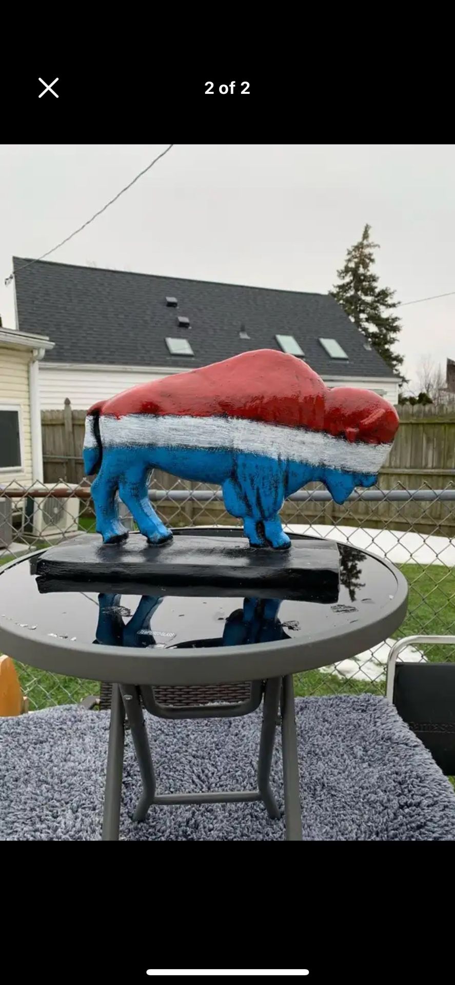 The USA Buffalo 