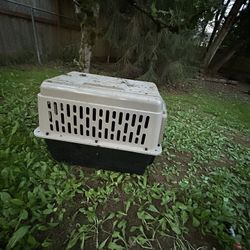 Dog Kennel 