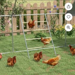 Chicken Coop Perching Ladder