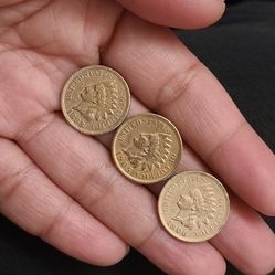 3  indian head penny 