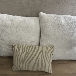 Throw Pillows - Large