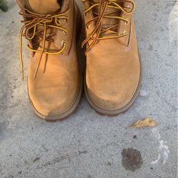 Timberland Brand Boot