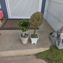 Artificial Plants!