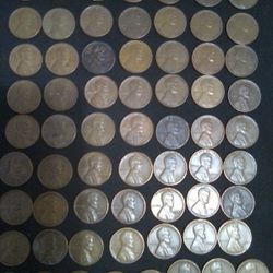 Wheat Penny Collection 