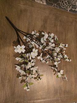 Floral stem