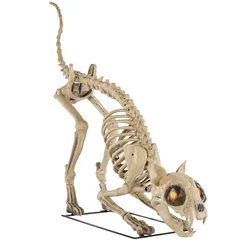 Home Accents Holiday 5 Ft. Skeleton Cat – BRAND NEW IN BOX 🐈‍⬛💀🎃