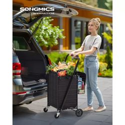 Shopping Cart  New In Box