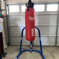 Everlast  Workout Heavy Bag & Stand