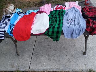Large and extra large dog wear brand new