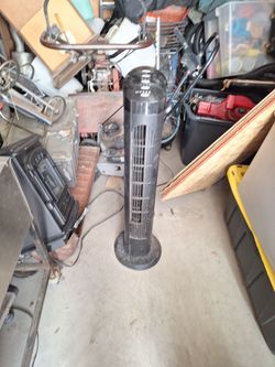 Fan