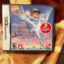 Nintendo DS