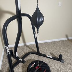 Double End Punching Bag (no stand)