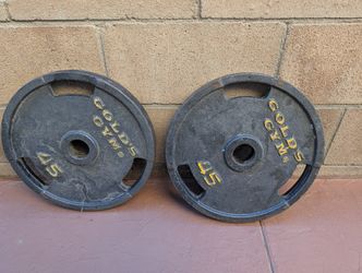 45lb Golds Gym Steel Plates