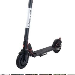 Gotrax  Electric  Scooter 