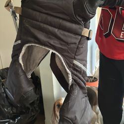 Dog Coat
