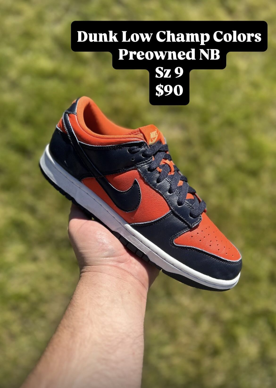 Dunk Low Champ Colors Size 9