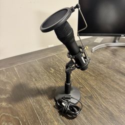 Podcast Mic 