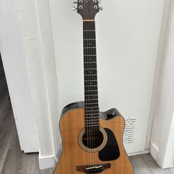 Takamine 12 string