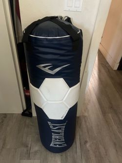 Everlast punching bag