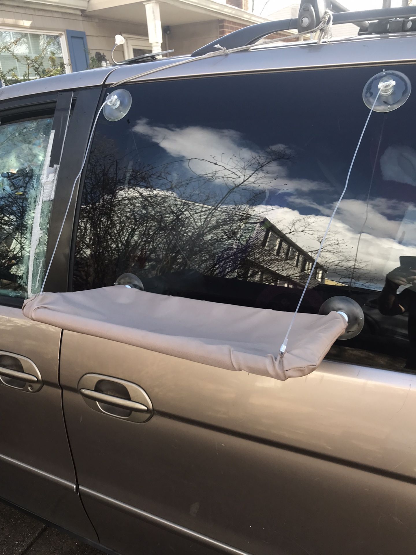 Lnew Window Cat Perch Only $20