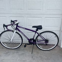 Road bike-needs minor repair