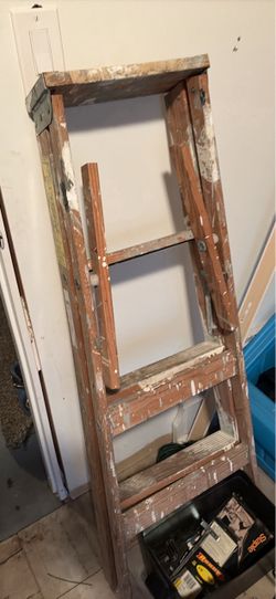 5ft Ladder