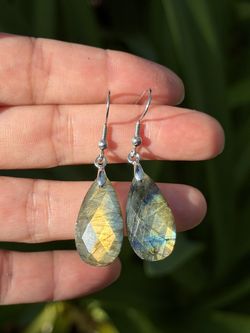Stainless Steel Faceted Labradorite Earrings 