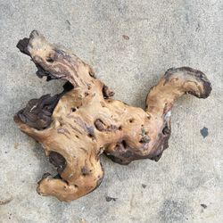 Large Mopani wood